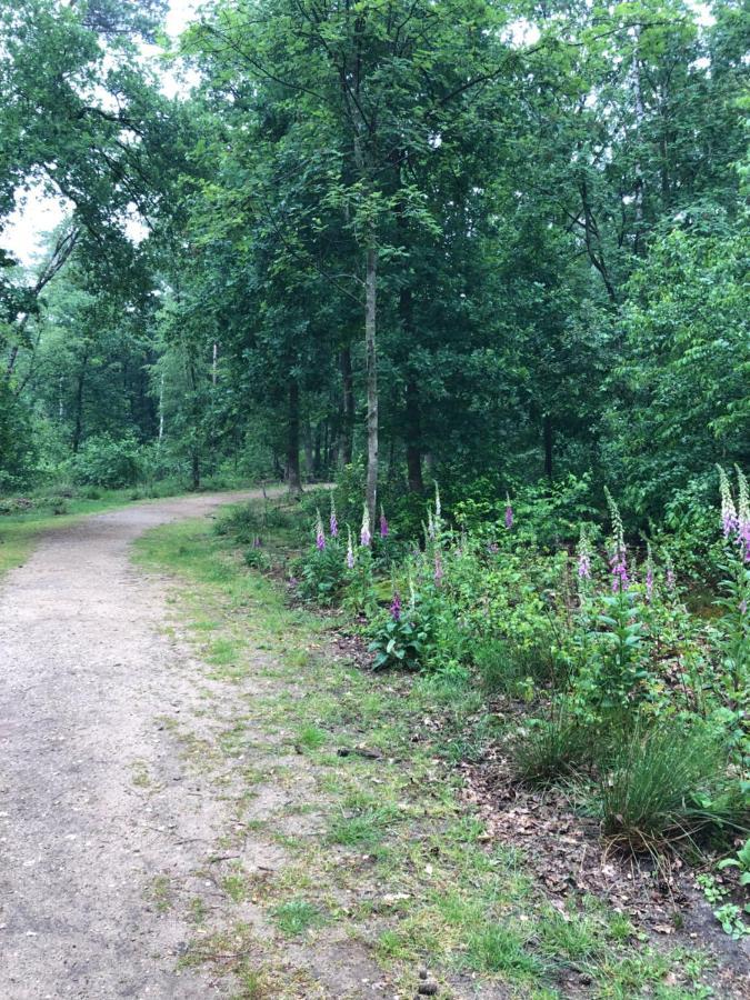 Chalet Bosrand 42 Hoenderloo Bagian luar foto
